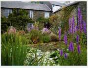 Hole Farm Gardens, Newton Abbot
