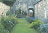 The garden, St Margaret's Chapel, Glastonbury