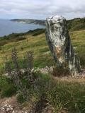 The standing stone at the centre of the Labyrinth, Looe
